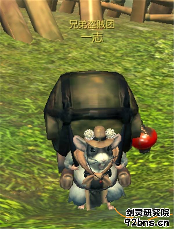 005245t46jtg4tj2sujp9t.jpg