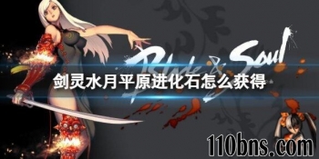 《剑灵私服》水月平原进化石获得方法